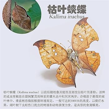 Amazon | BACALYSO | コノハチョウ 17cm級 チョウ フィギュア